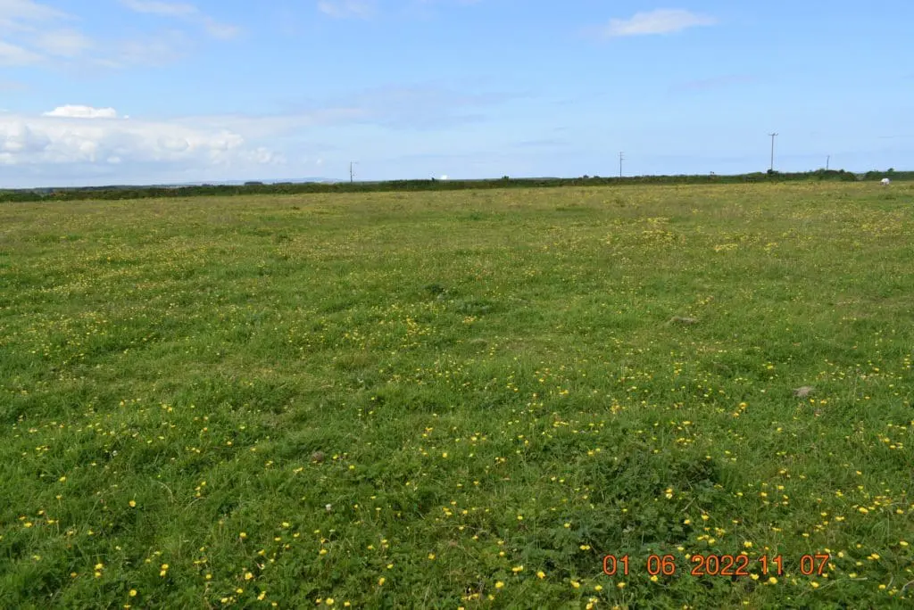 Field