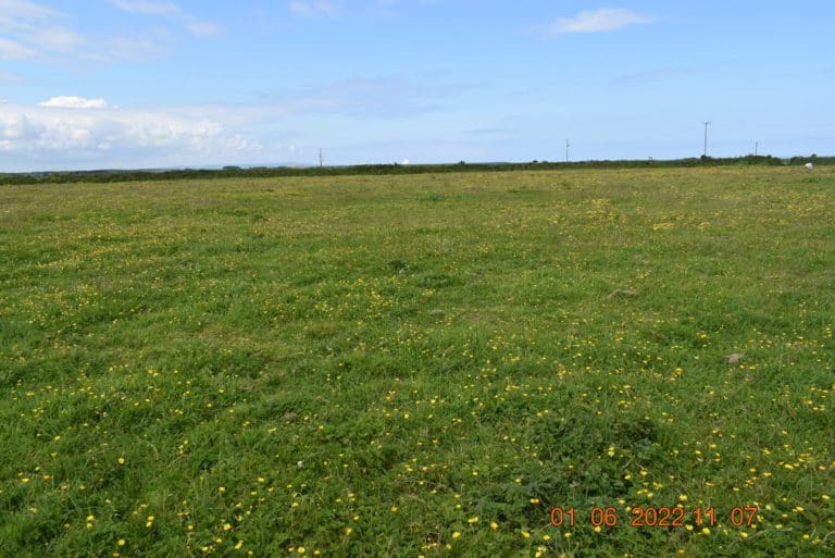 Field